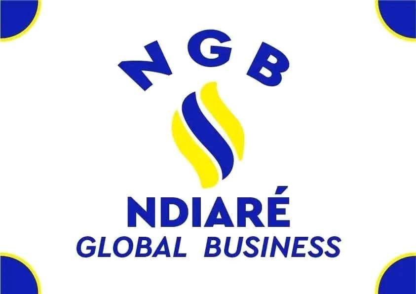 ndiare global business