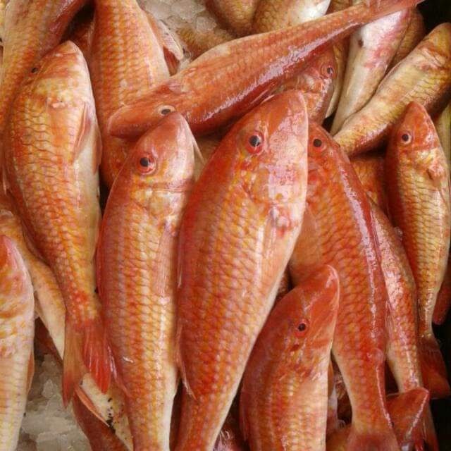 Rouget : Comment Le Cuisiner, En Filet, Au Four