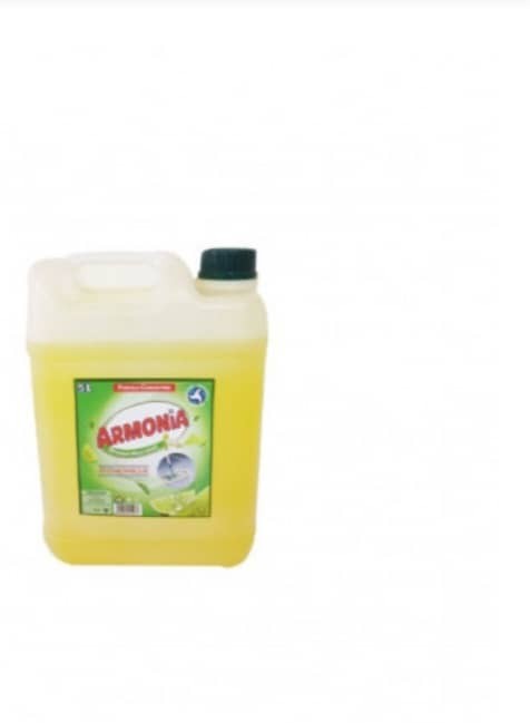 ARMONIA DETERGENT MULTI-USAGES 5L
