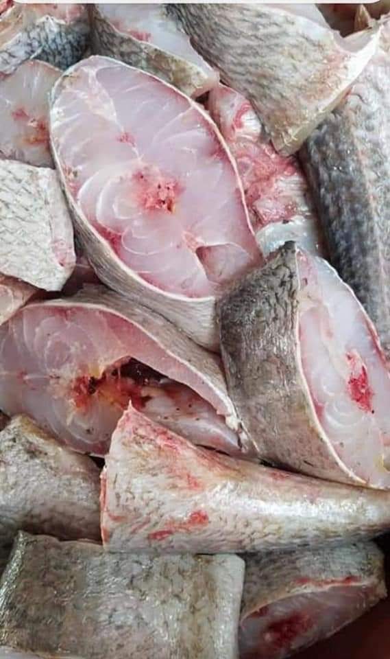 Barracuda Seude En Darne 1 kg